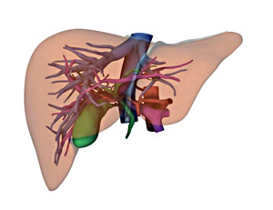 virtual nerve block screen shot